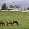 play Farm Td