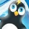 play Polar Glide