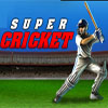 play Super Cricket