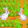 play Playful Bunnies