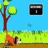 play Duck Hunt