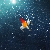 play Spiteful Space