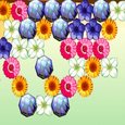 play Flower Power