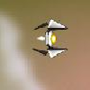 play Falcon Wing
