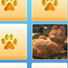 play Garfield