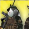 play Rabbit Sniper 3