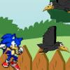 play Sonic In Garden