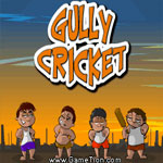 play Gully Cricket
