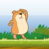 play Marmoot