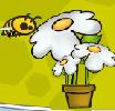 play Beetubes