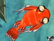 play Zippy Fish