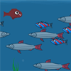 play Fish Day