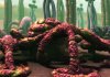 play Dark Base - Alien Rts