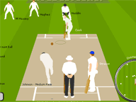 play Flashcricketashes2010