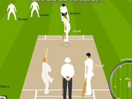 play Cricketmanager