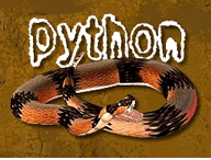 play Python