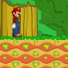 play World Of Mario