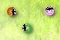 play Color Bugs