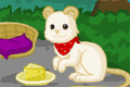 play Pet Creator