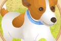 play Pop Top Pups