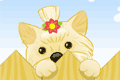 play Glamour Dog