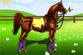 play Horse Dress Up
