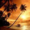 play Sunset Find Numbers