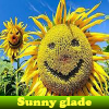 play Sunny Glade