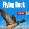 play Flying Duck 2012