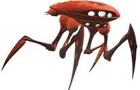 play Krab Maze