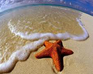 play Starfish Find Numbers