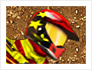 play Freak Air Motocross