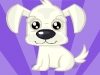 play Pretty Dog Contest