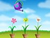play Flower Watering