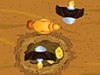 play Save The Chicks