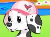 play Doggy Dressup