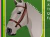 play Stay The Distance Hourse Racing