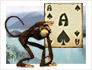 play Spider Monkey Solitaire