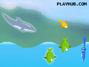 play Dolphin Olympics
