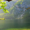 play Nature