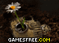 play Last Flower Defence