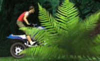 play Jungle Atv