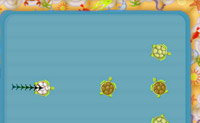 play Turtle Pool