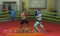 play Mixed Fighting