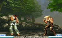 play Street Fighter 2