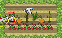 play Crop Defenders