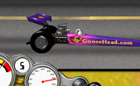 play Goosehead Race