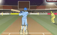 play Cricket 3