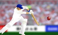 play Powerplay Cricket