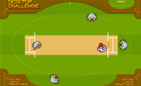 play Cricket 2